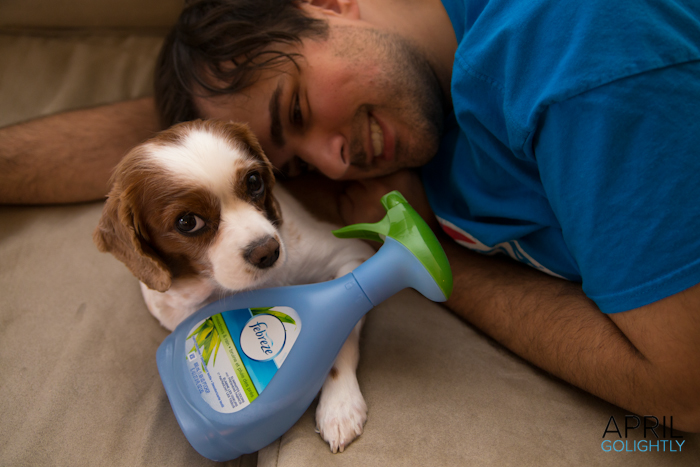 Febreze Nose Test_-4