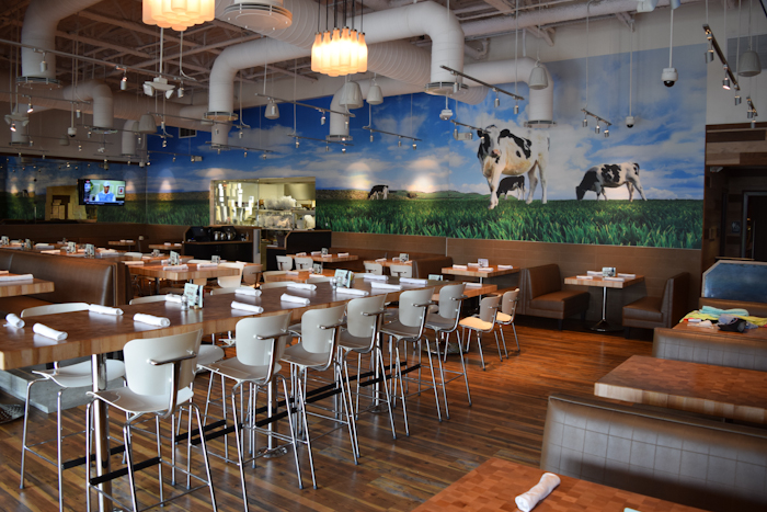 Zinburger Sawgrass Mills Review_